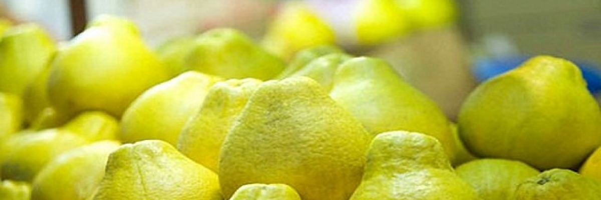 bưởi năm roi 2