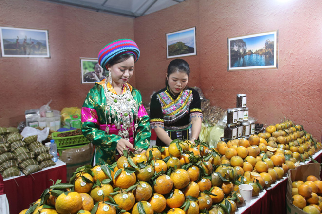 cam ha giang 1