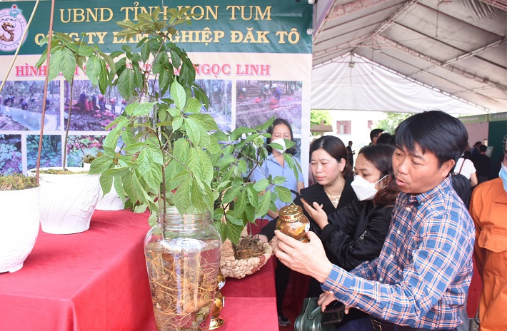 sam kon tum 3
