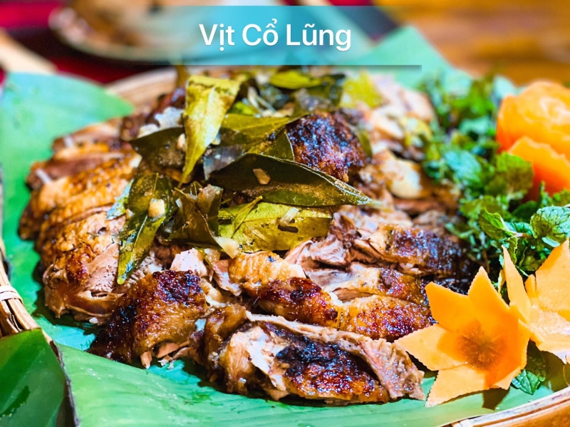vit co lung
