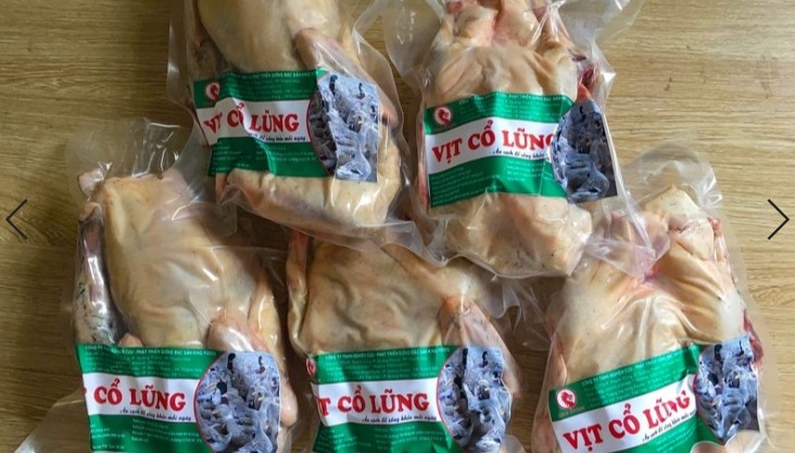 vit co lung