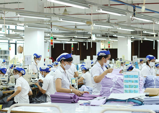 may - cụm 2a