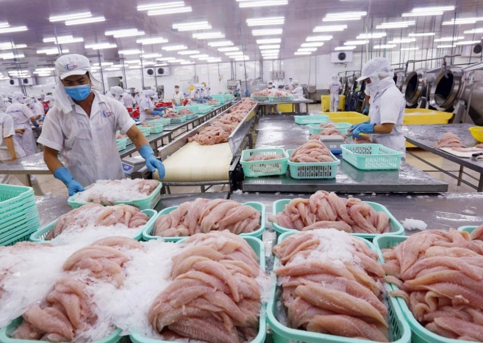 DN CPTPP - cụm 2a