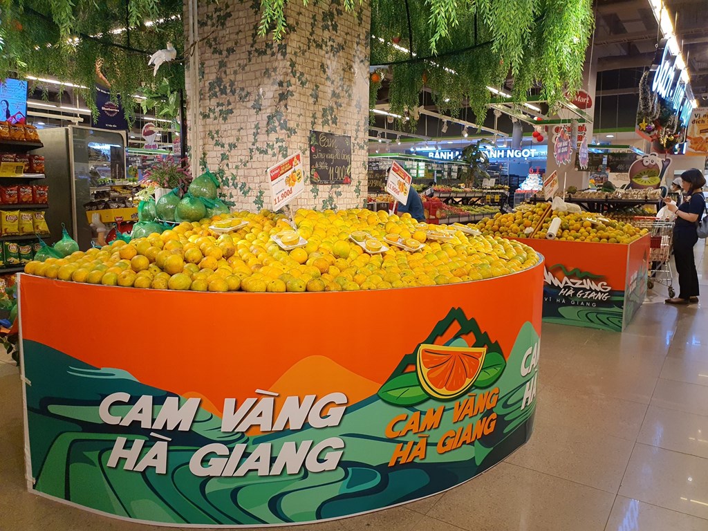 cam sanh 5