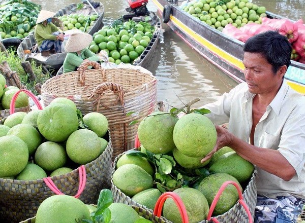 nam roi 2
