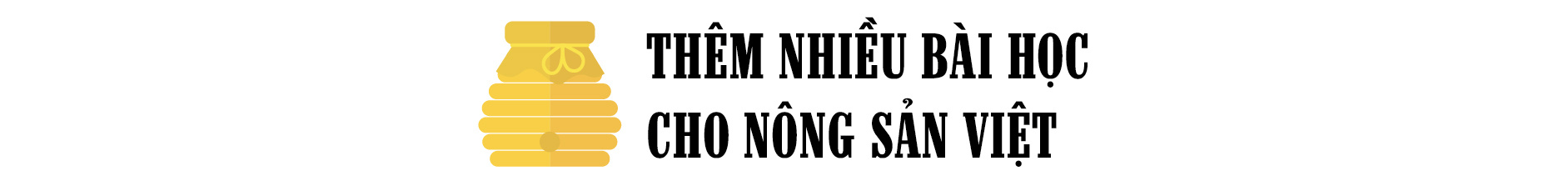 Từ chuyện mật ong xuất sang Hoa Kỳ nhìn ra nông sản Việt