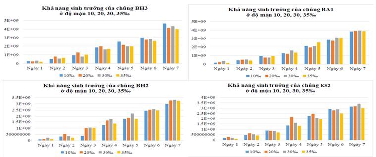 kha-nang-sinh-truong-cua-cac-chung-duoc-tuyen-chon-trong-moi-truong-co-do-man-khac-nhau