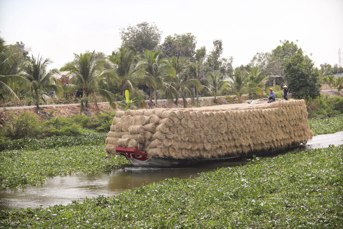 máy cuộn rơm