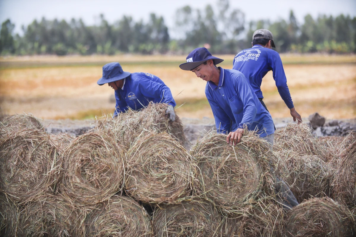 máy cuộn rơm