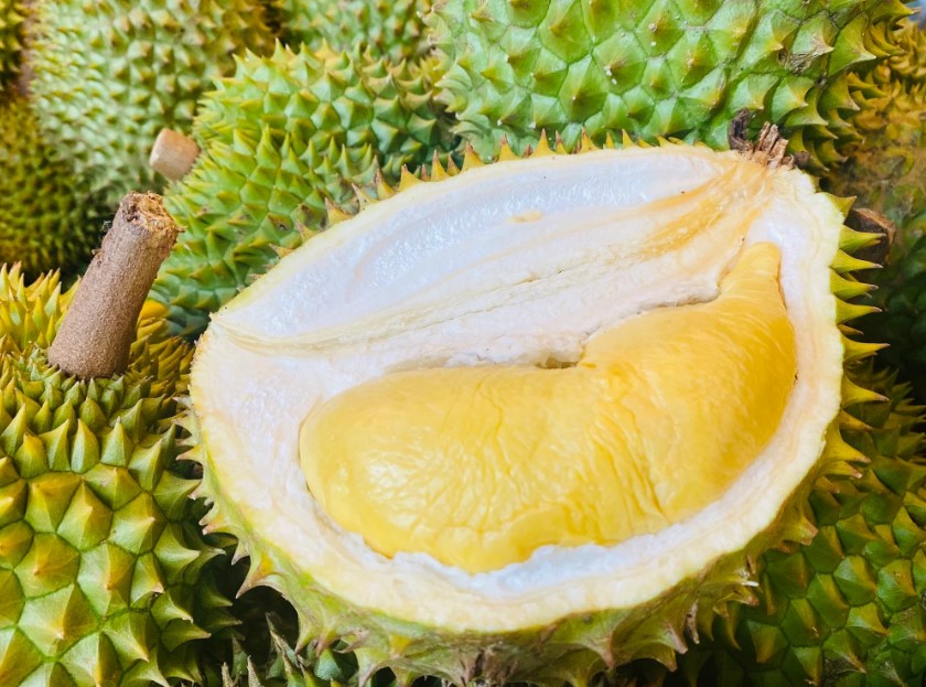 vùng trồng