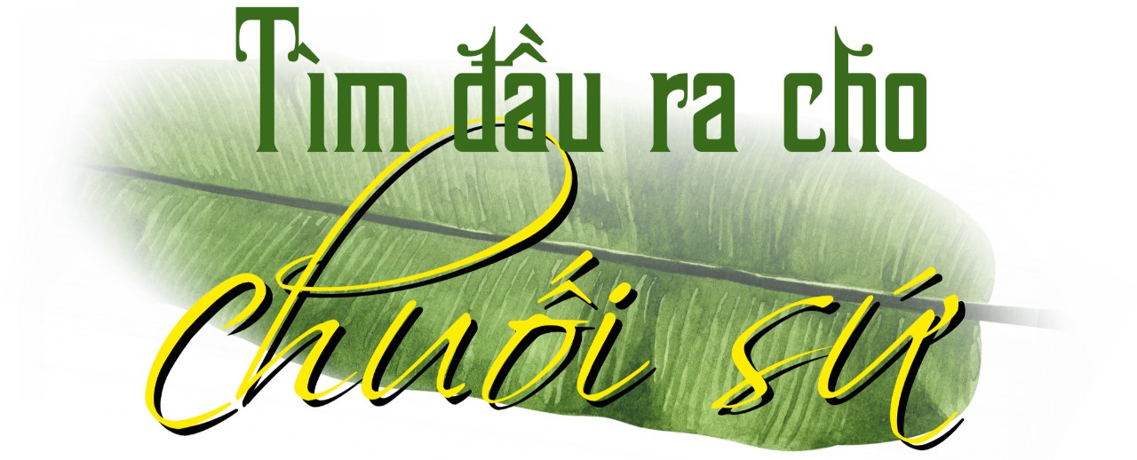 chuoi su 2