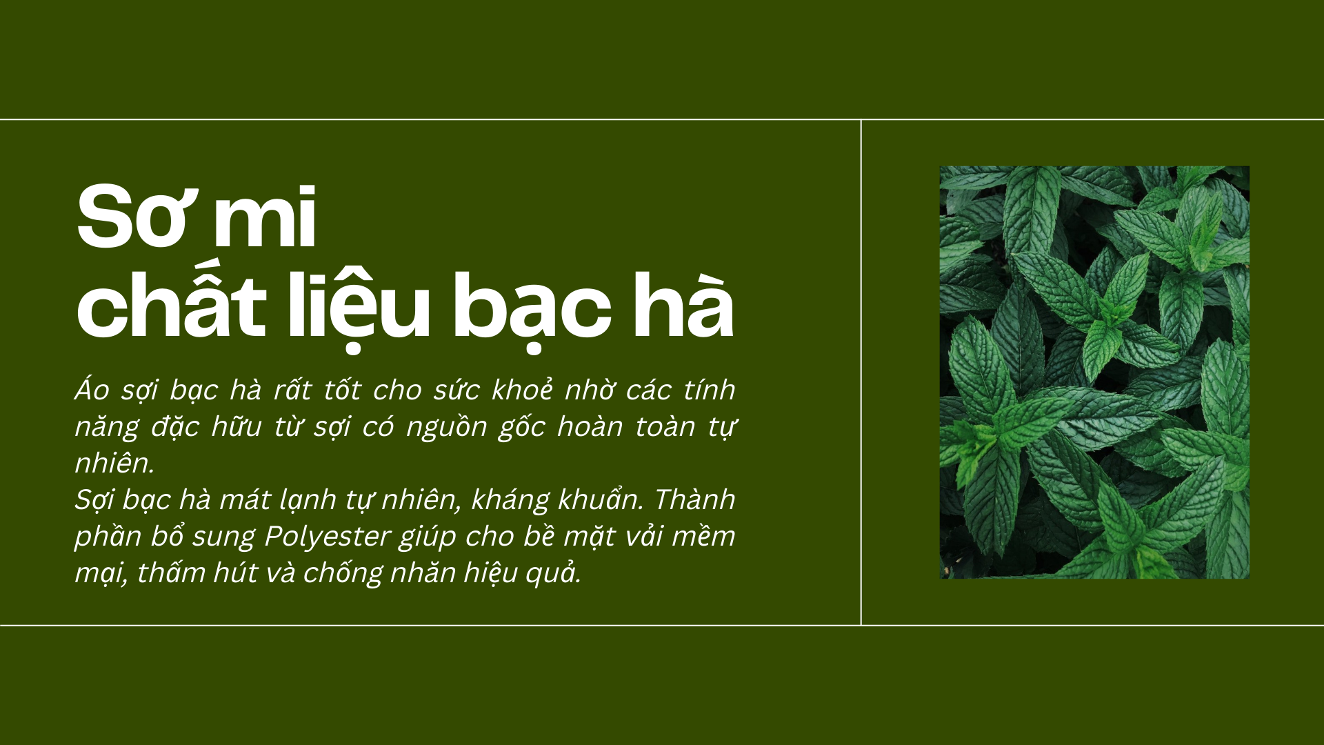 thương hiệu thời trang belluni