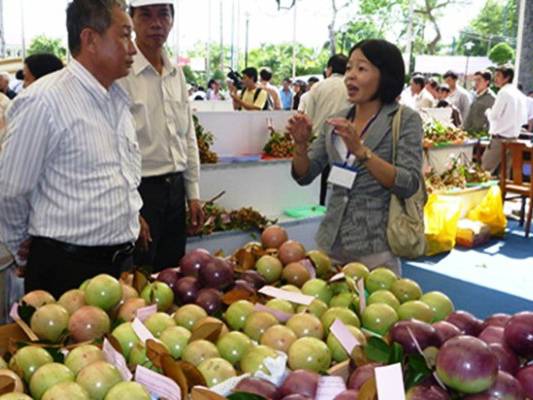 vu sua xuat khau