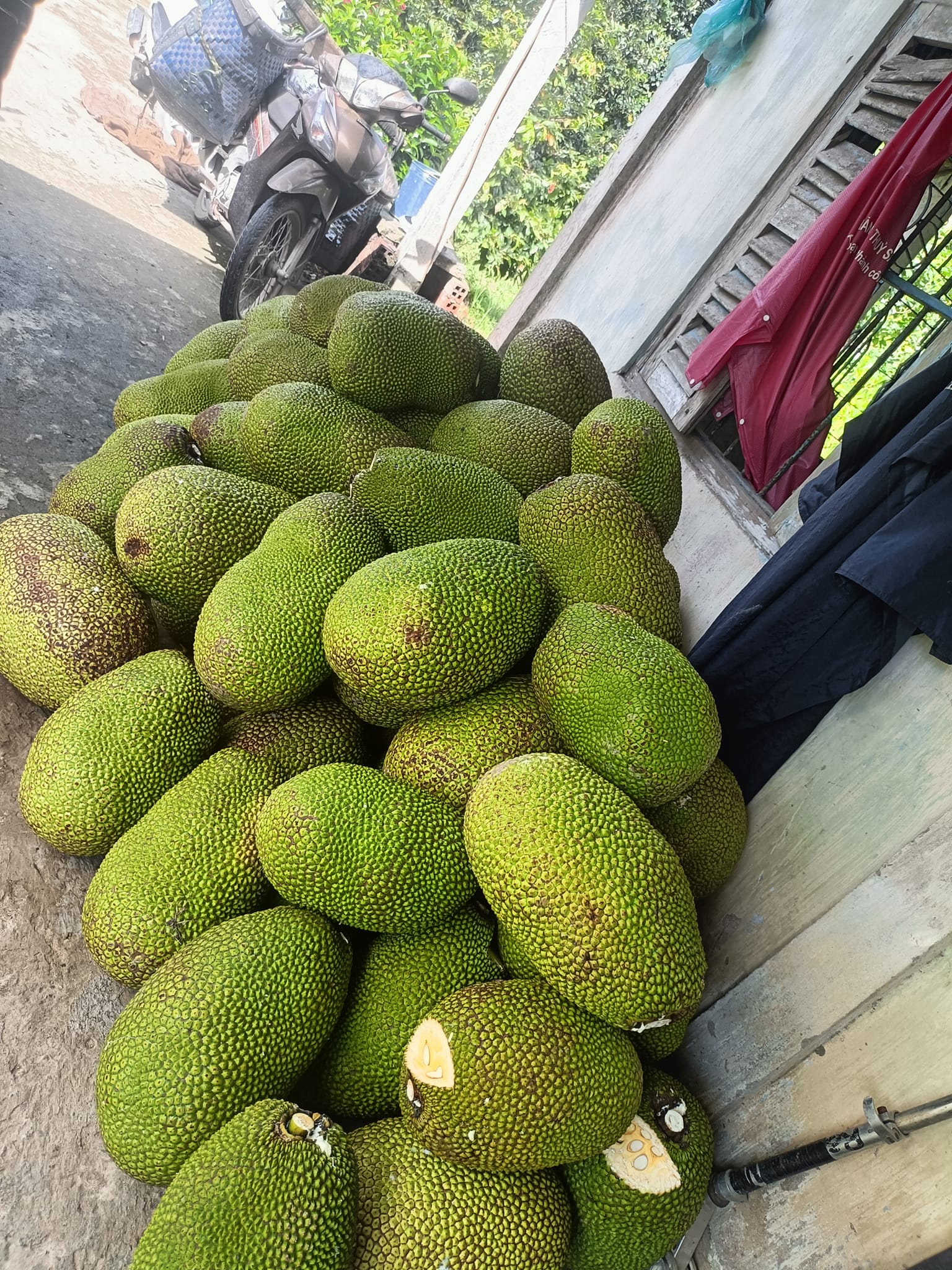 Bình Phước