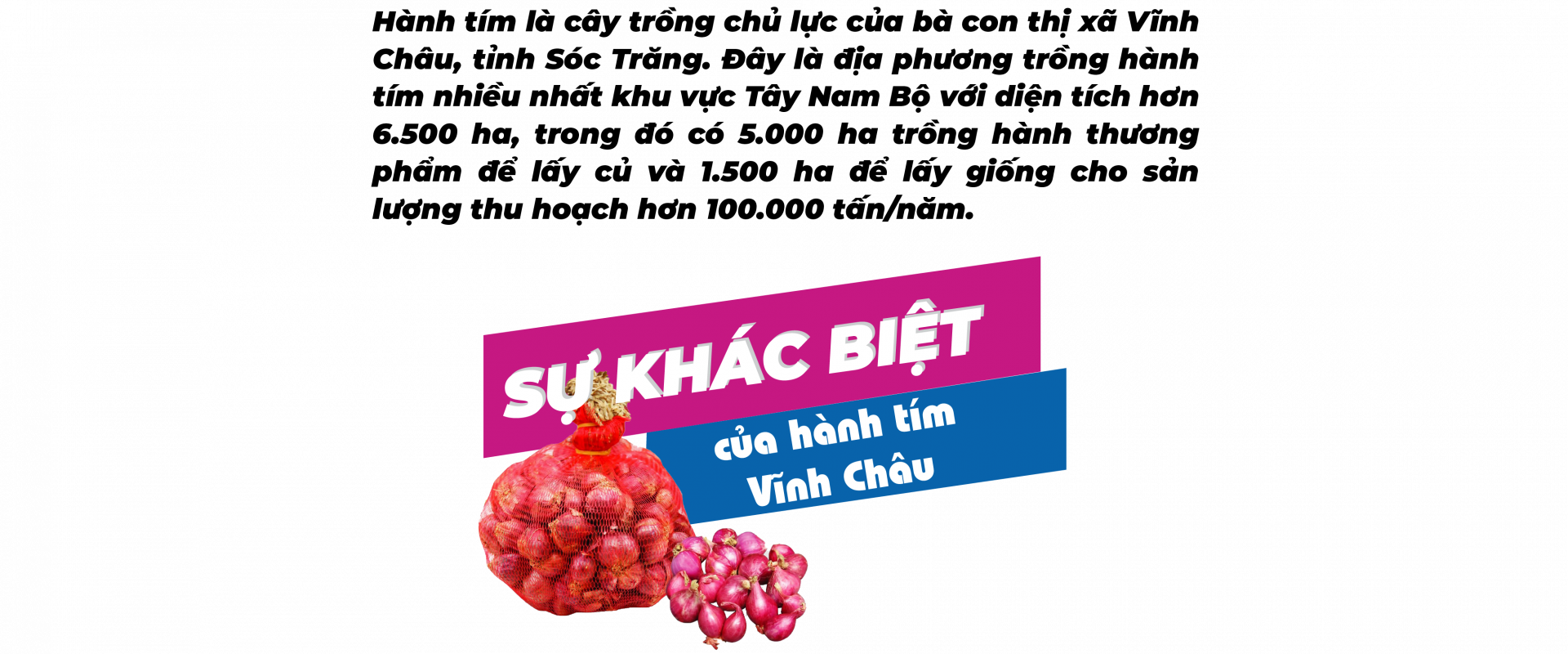 hành tím Vĩnh Châu