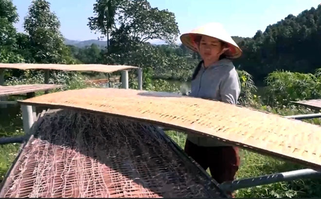 mien viet hai dang