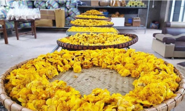 hoa vang