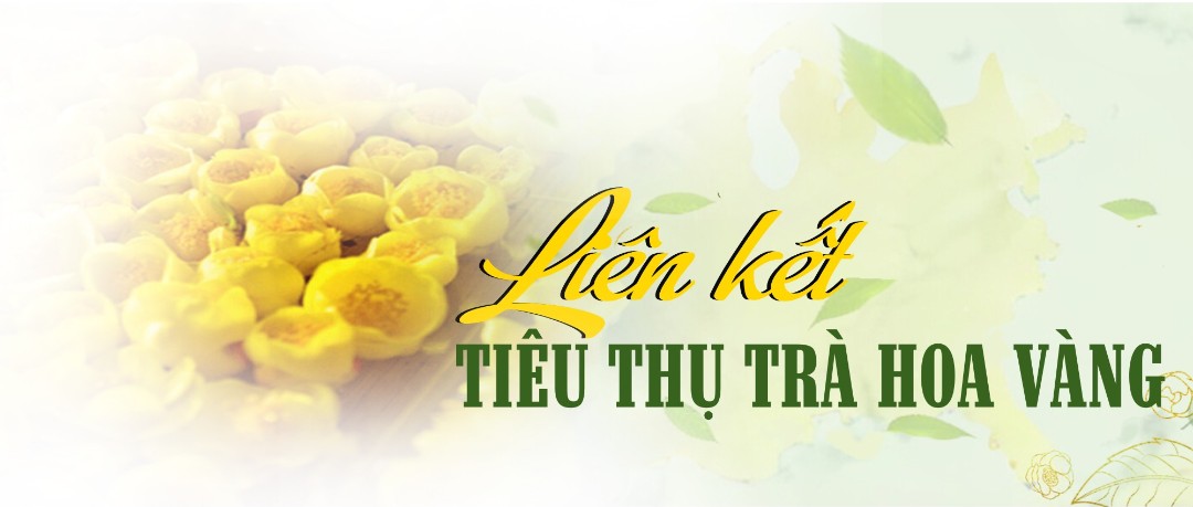 lien ket tieu thu