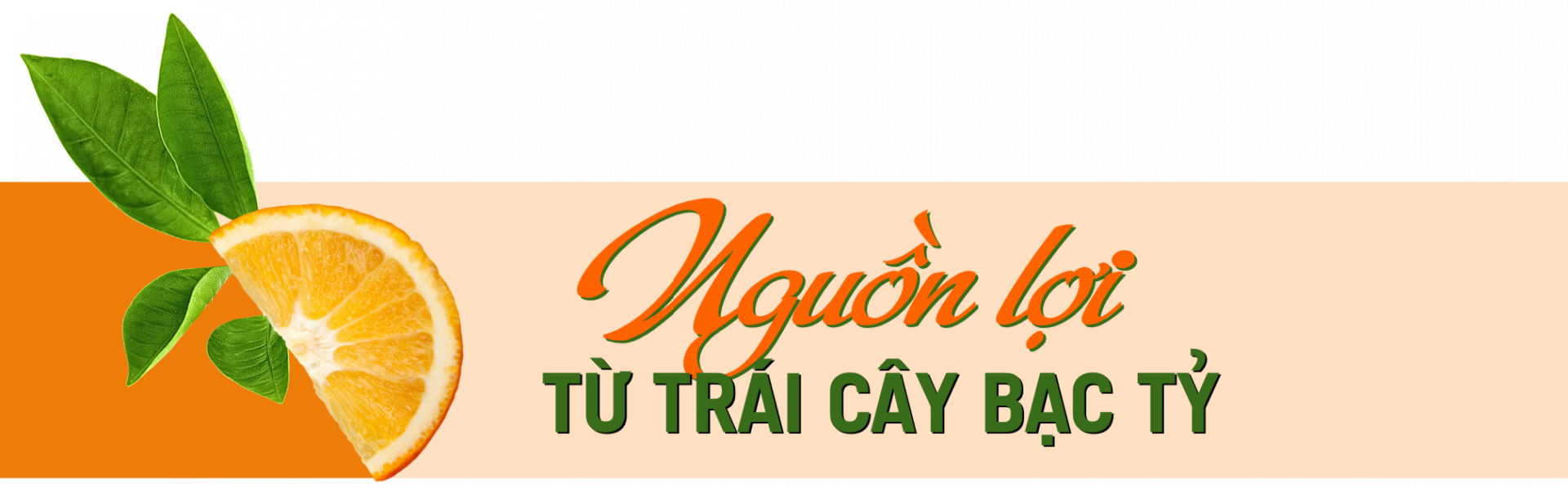 cam bu 4