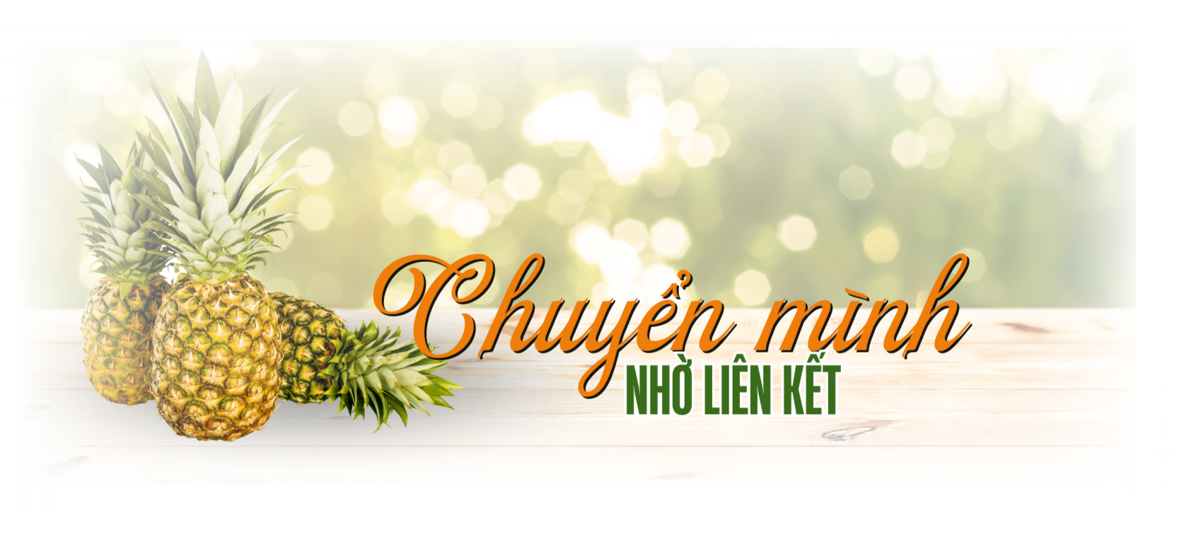 khom cau duc