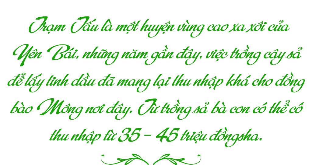 tinh dau