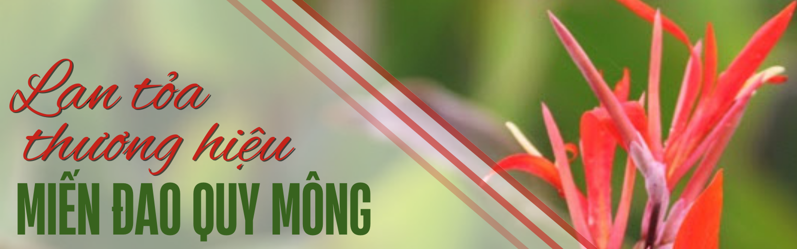 dao rieng quy mong 2