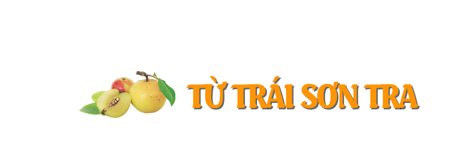 son tra 1