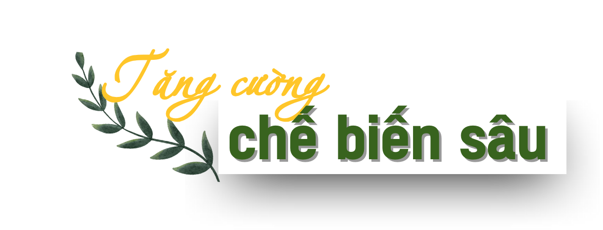 mang cau 2