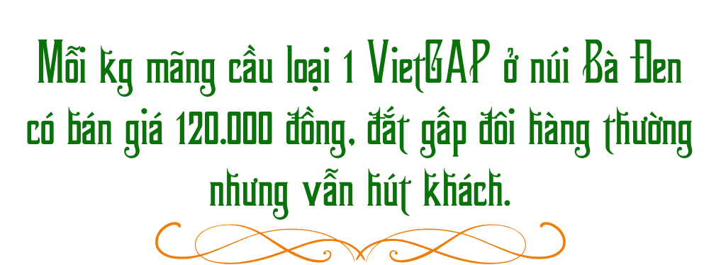 mang cau b