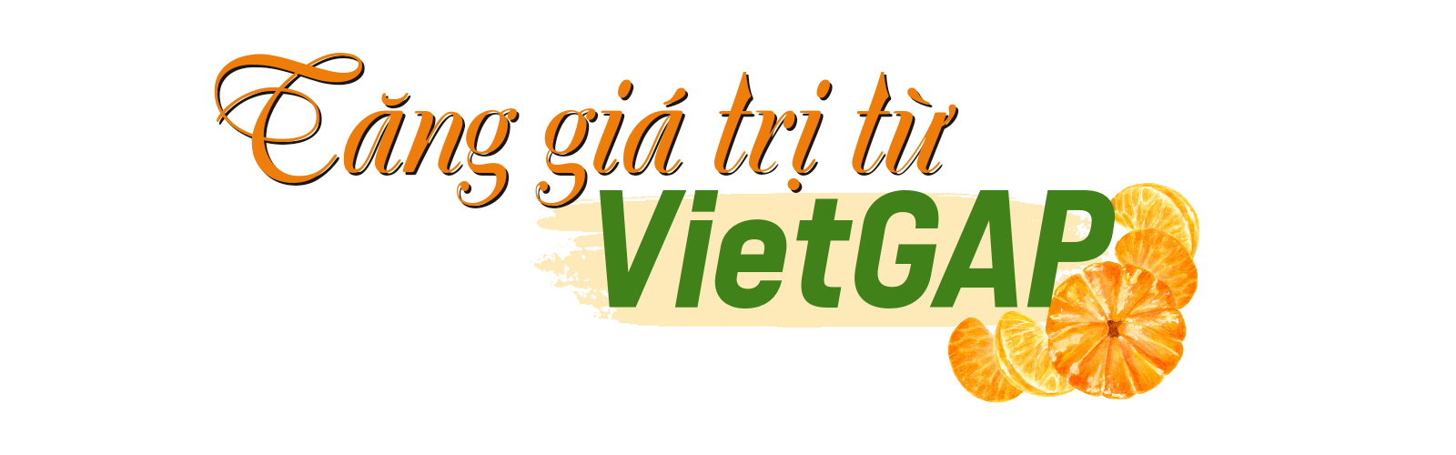 quyt bac son 1