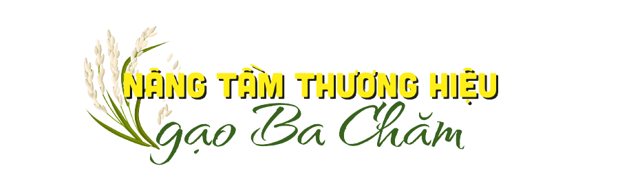 thuong hieu gao