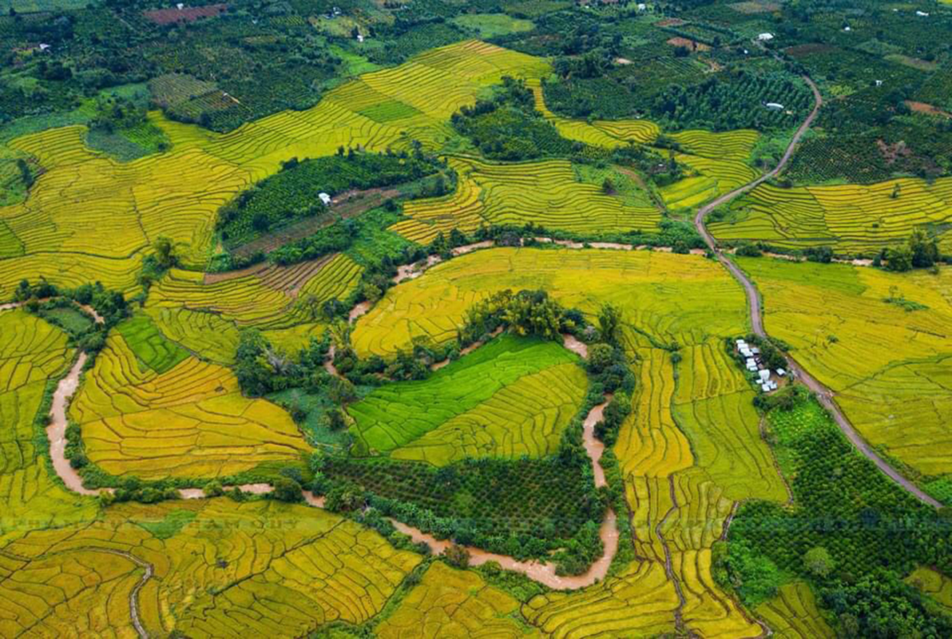 hat ngoc troi