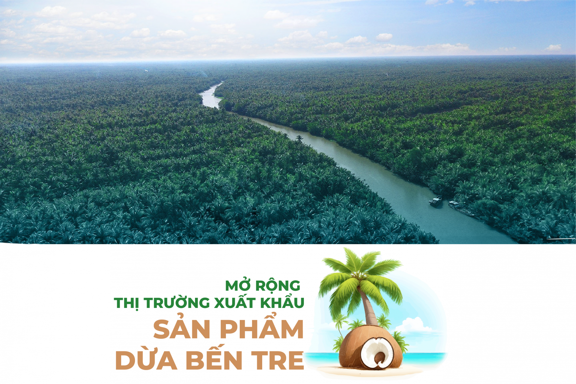 Dừa Bến Tre