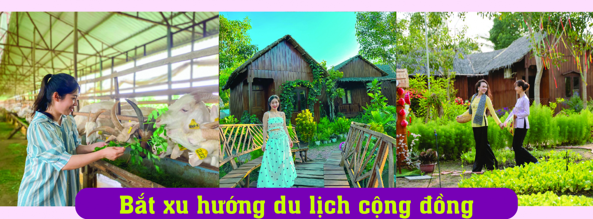 Mương đình homestay