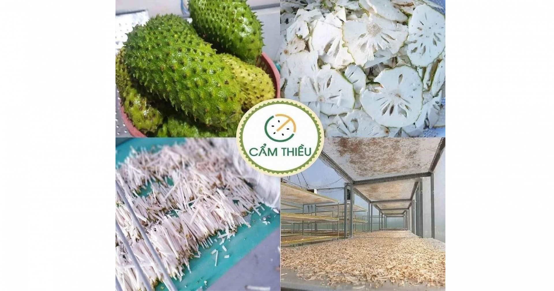 trà mãng cầu Cẩm Thiều 