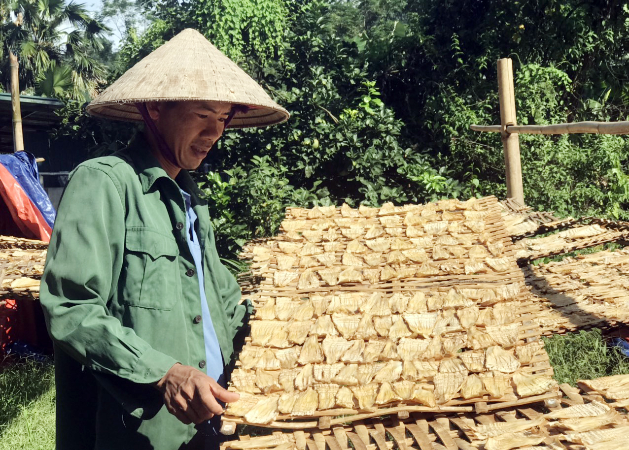 măng khô