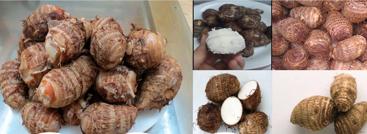 khoai sọ