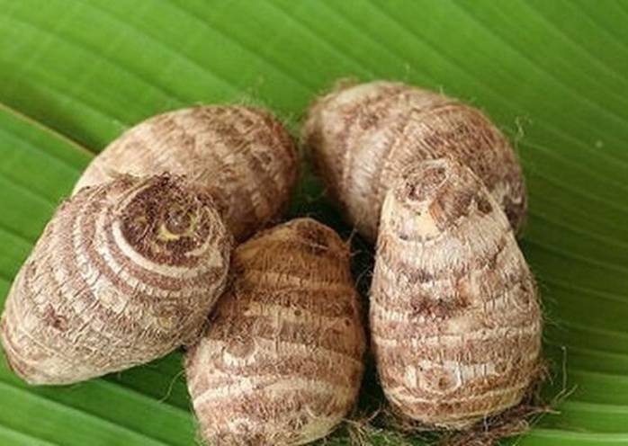 khoai sọ 2