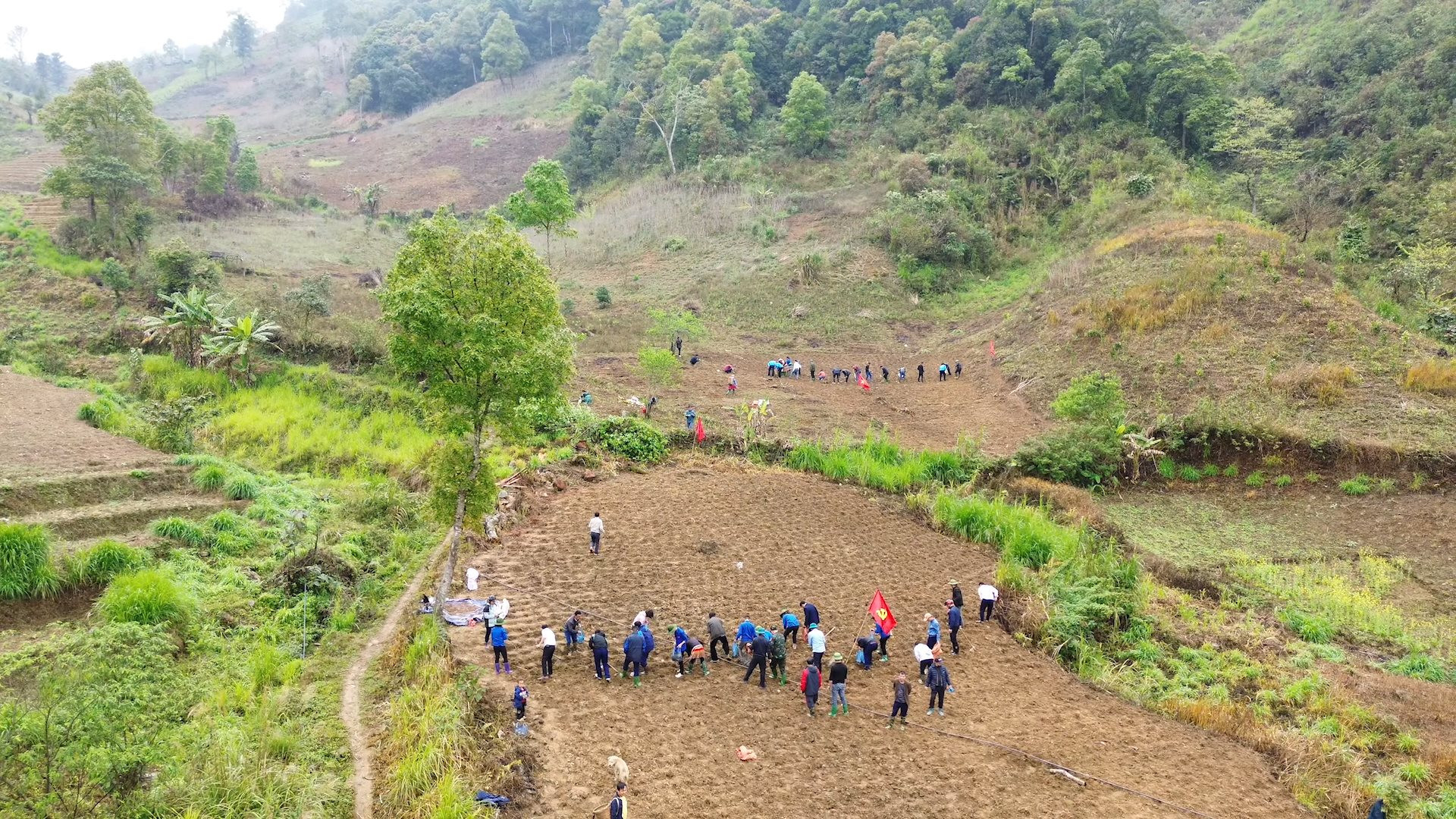 khoai trạm tấu