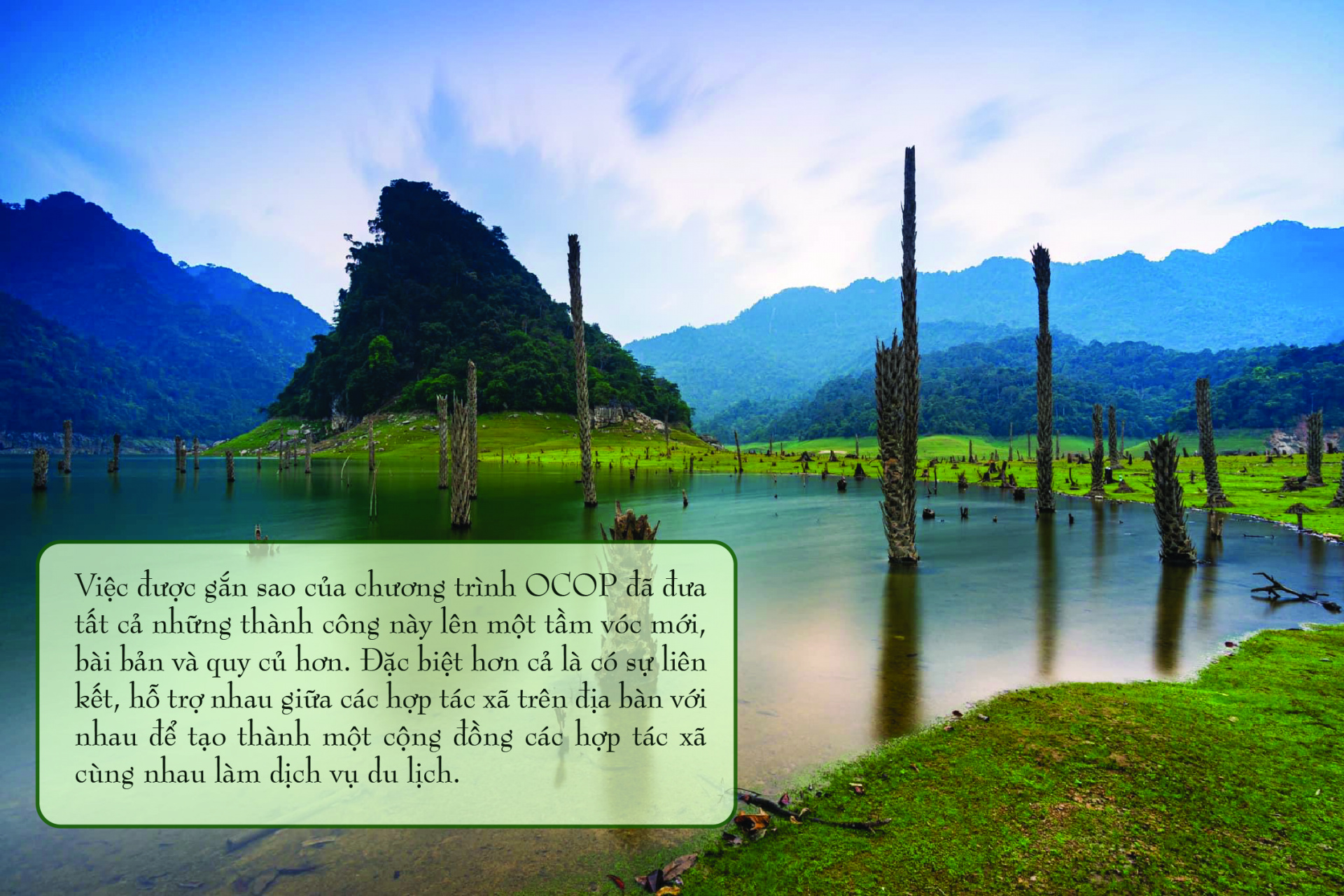 99 ngon ngui lam cung nhau