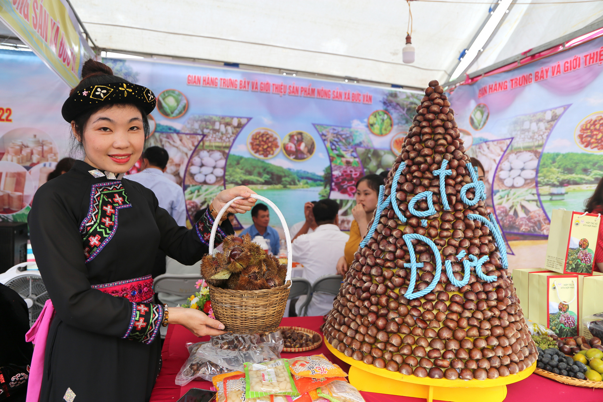 hat dẻ ngan son