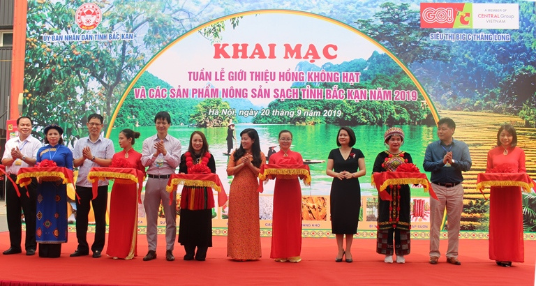 khai mạc