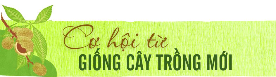 hat de ngan son 1