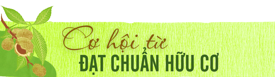 hat de ngan son 2