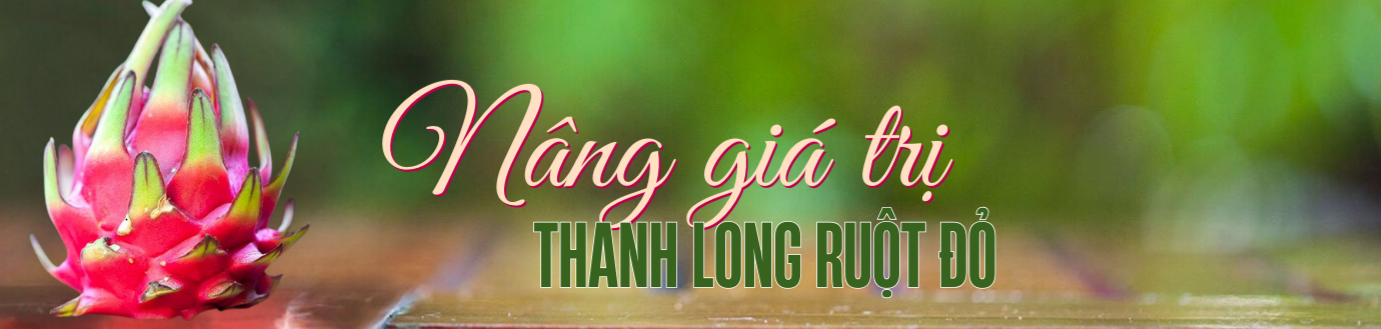 nâng gia tri