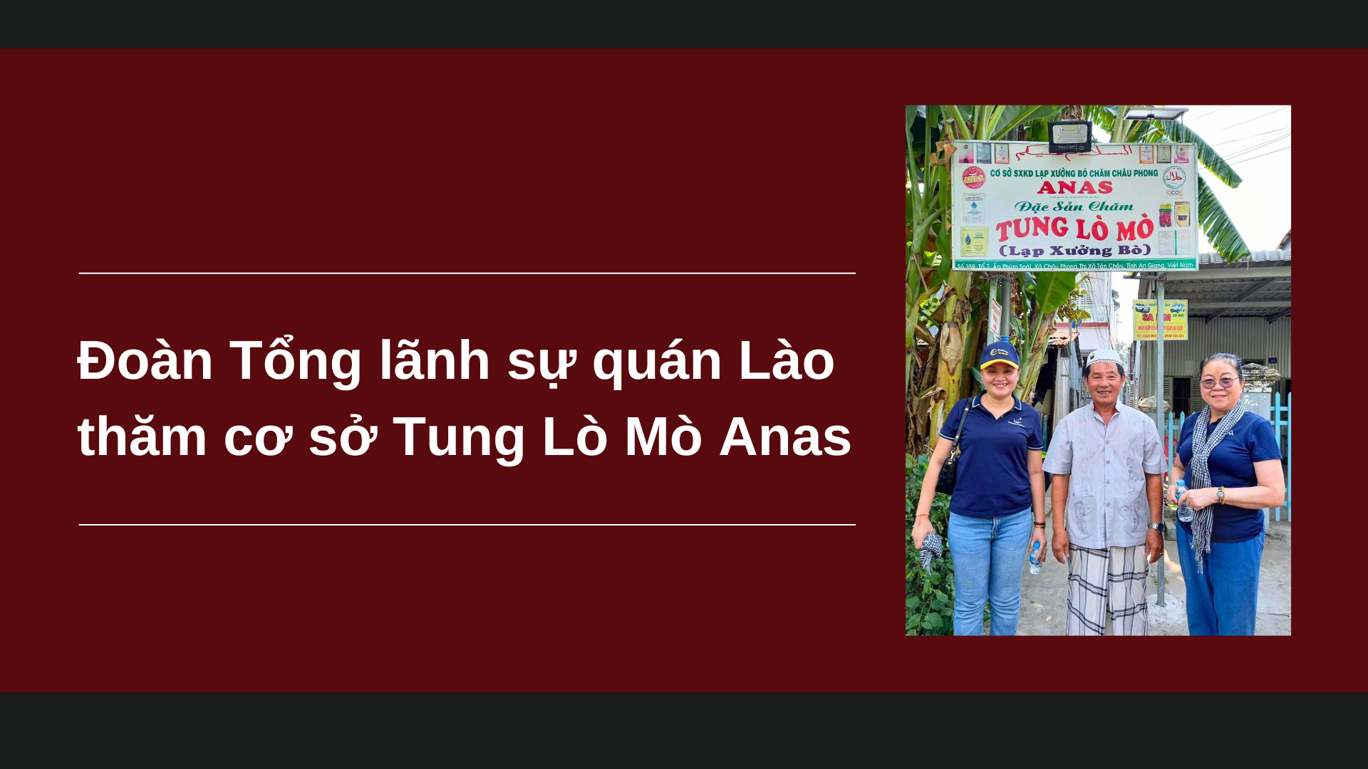 tung lò mò
