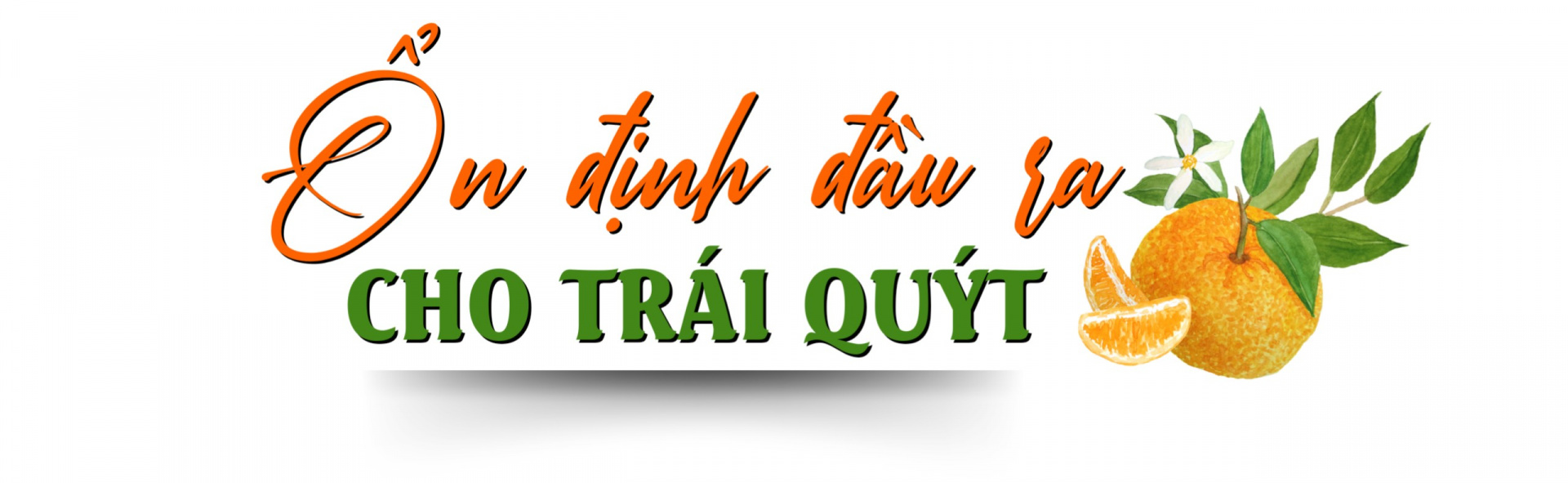 quyt ba thuoc