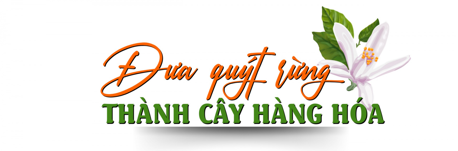 quyt ba thuoc 1