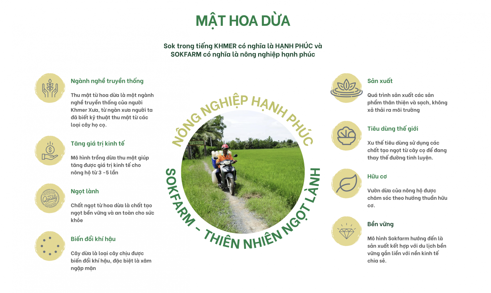 Mật hoa dừa tươi Sokfarm - Ấn tượng nét văn hoá Khmer