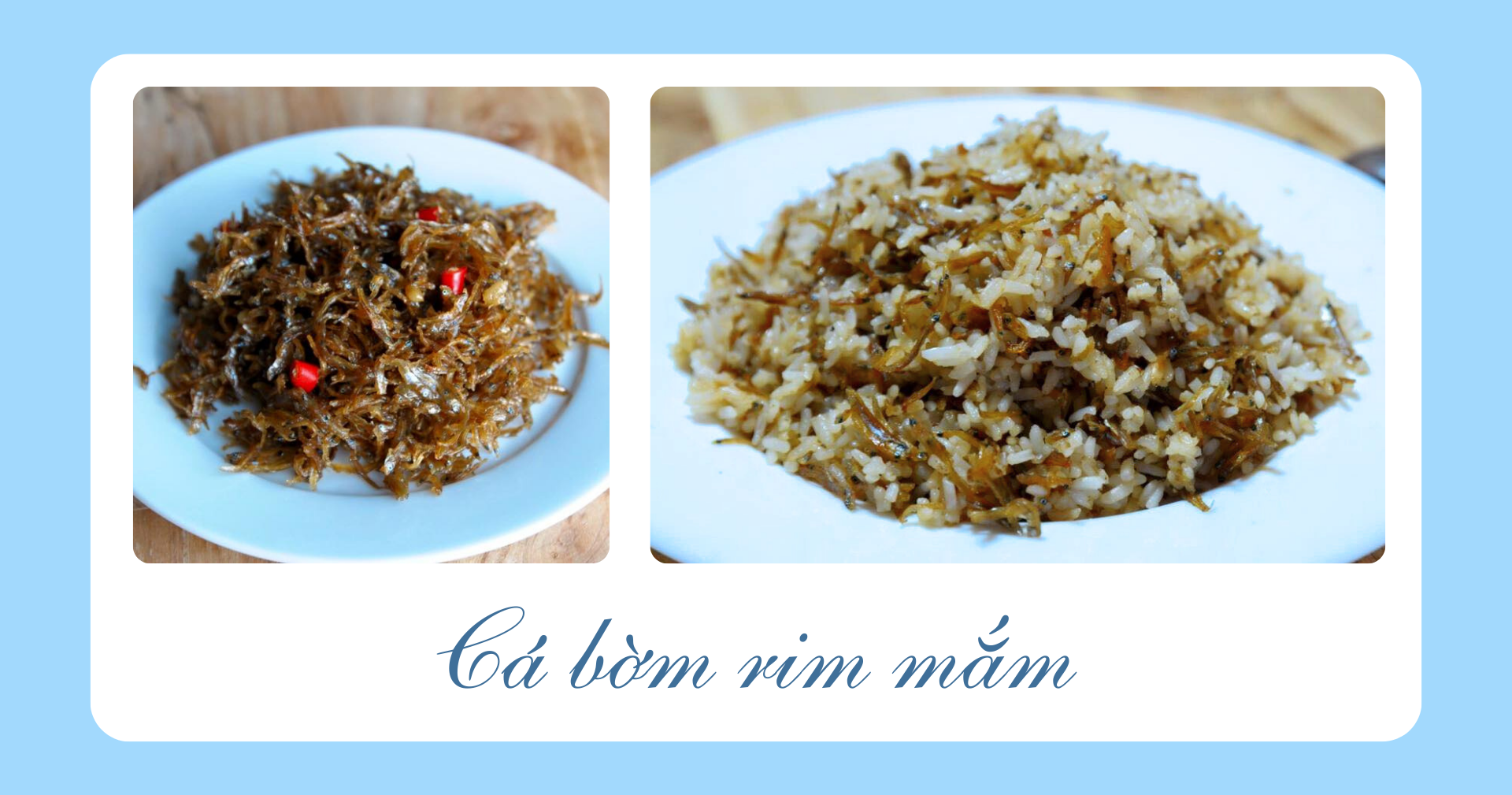 Cá bờm trắng